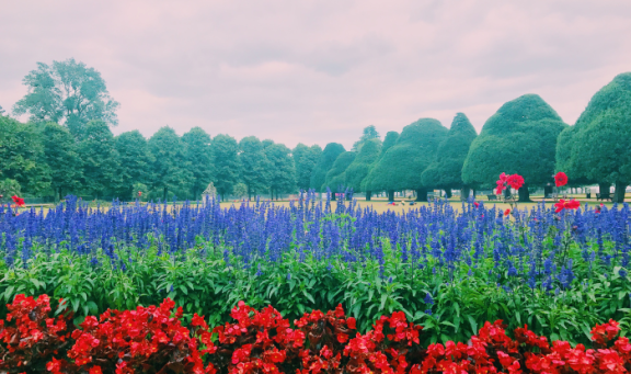 Flower garden at Hampton Court