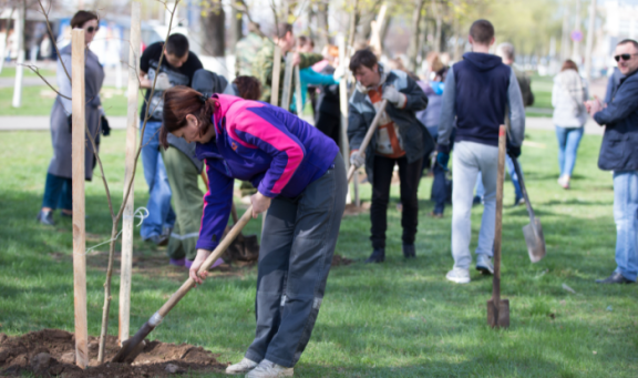 Community planting