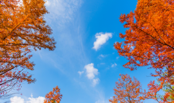 Clean air autumn sky