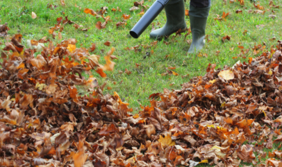 Leaf blower