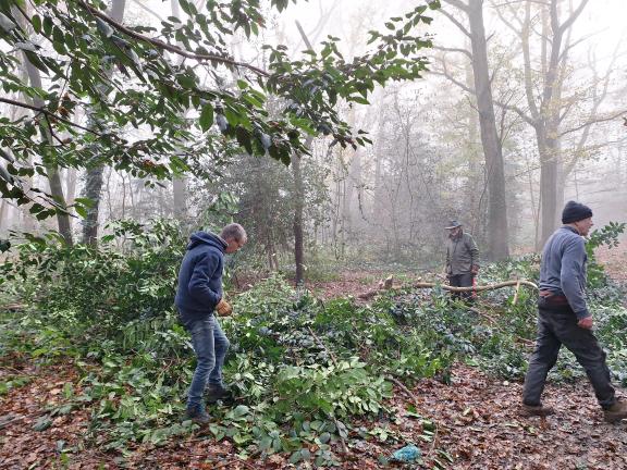 Claygate conservation volunteers