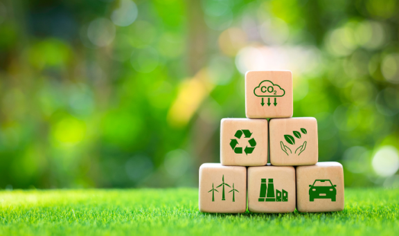 Elmbridge Community Climate Action Fund
