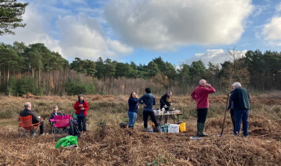 Conservation volunteers