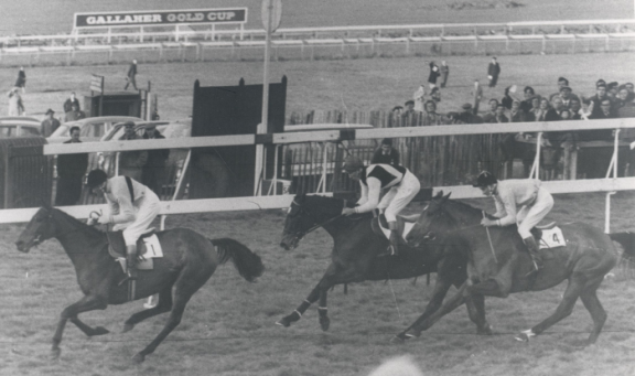 Racecourse at 150