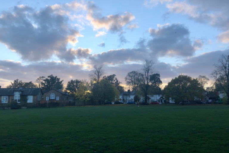 Green space at dusk with houses