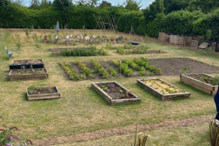 An allotment