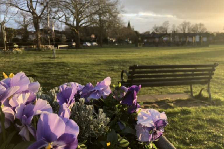 Park bench in Hersham with purple flowers in foreground