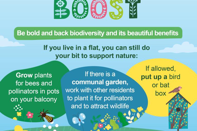Elmbridge Biodiversity Boost social media banner version 3