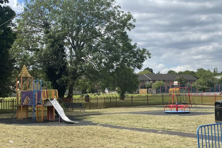 play are with slide and roundabout and large tree