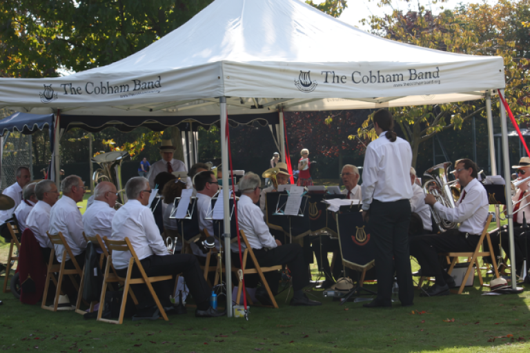 The Cobham Band performing in the park