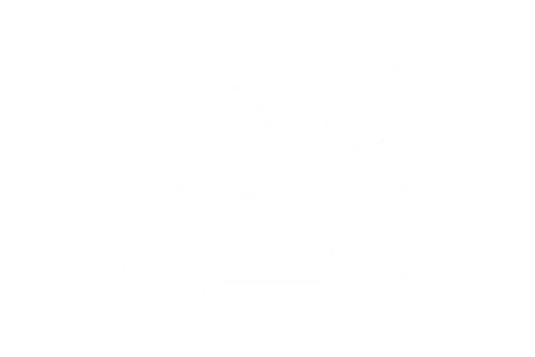 Electric car icon