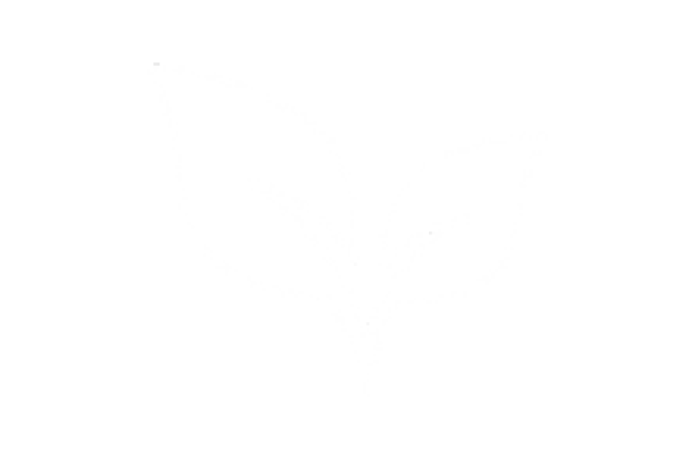 Icon of leaves representing sustainability