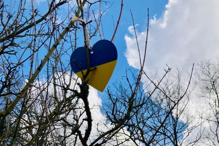 blue and yellow wooden heart on tree