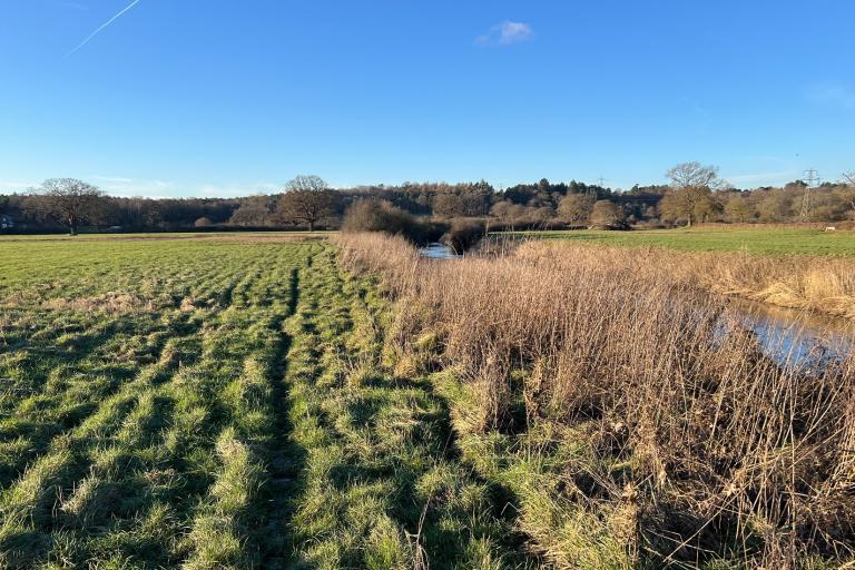 field and river