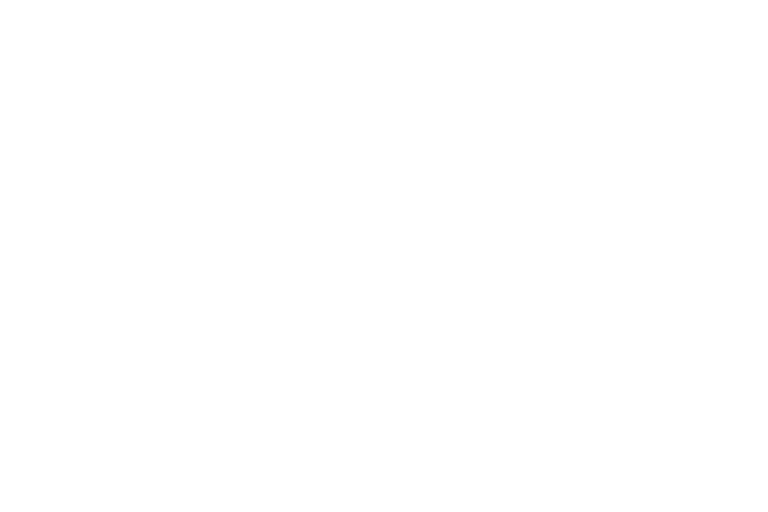 Speech bubbles icon