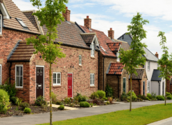 Houses on a street with trees.