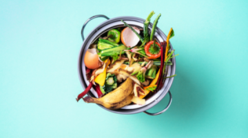 Food waste bin