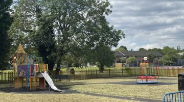 play are with slide and roundabout and large tree