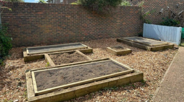 Vegetable beds at community garden