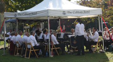 The Cobham Band performing in the park