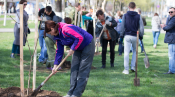 Community planting