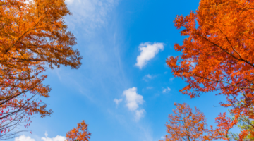 Clean air autumn sky