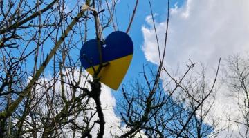 blue and yellow wooden heart on tree