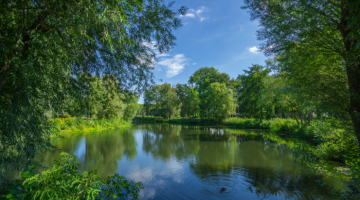 River view