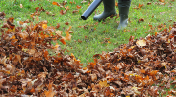 Leaf blower