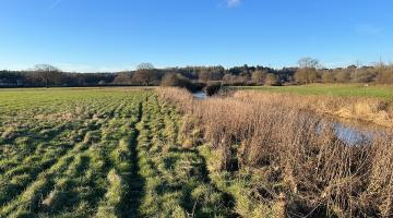 field and river