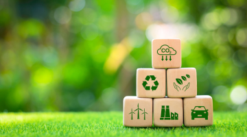 Elmbridge Community Climate Action Fund