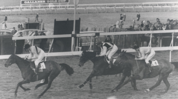 Racecourse at 150