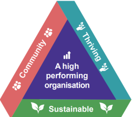 Our vision represented by a 3-sided triangle with the word 'community' on one side, 'thriving' on another and 'sustainable on the other. The words 'a high performing organisation' are in the centre. 