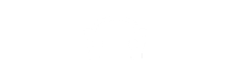 Icon of a car