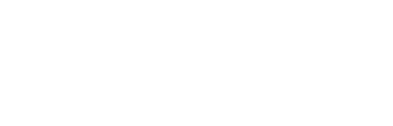 Icon of house keys