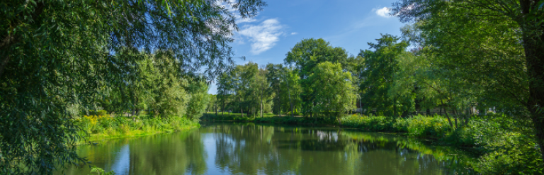 River view